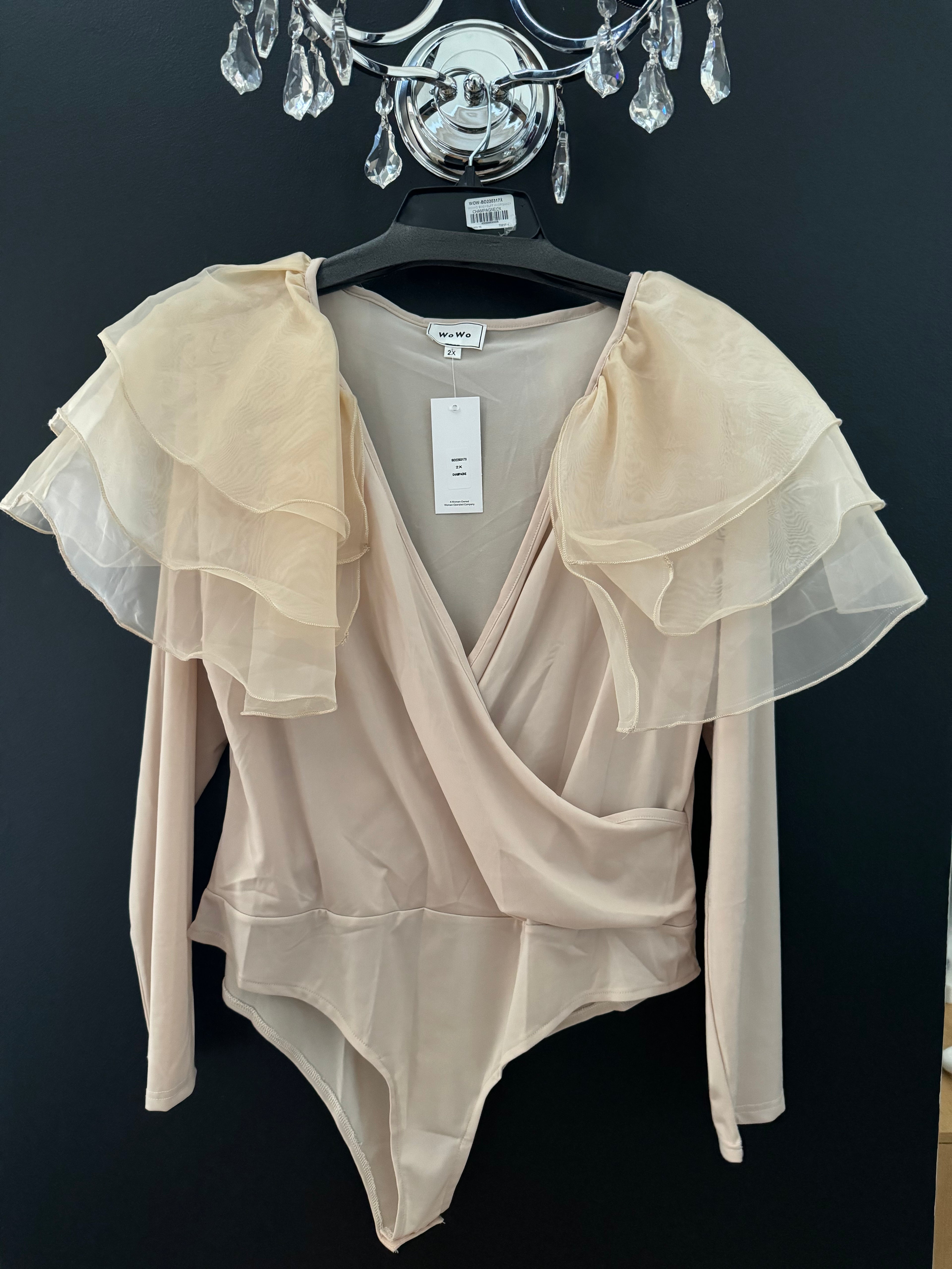 Bodysuit w/Organza Sleeve